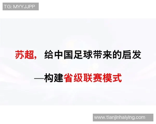 足球明星对中国足球的看法与建议解析探讨未来发展方向与潜力