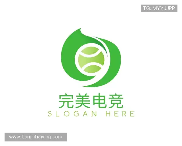 发现完美电竞